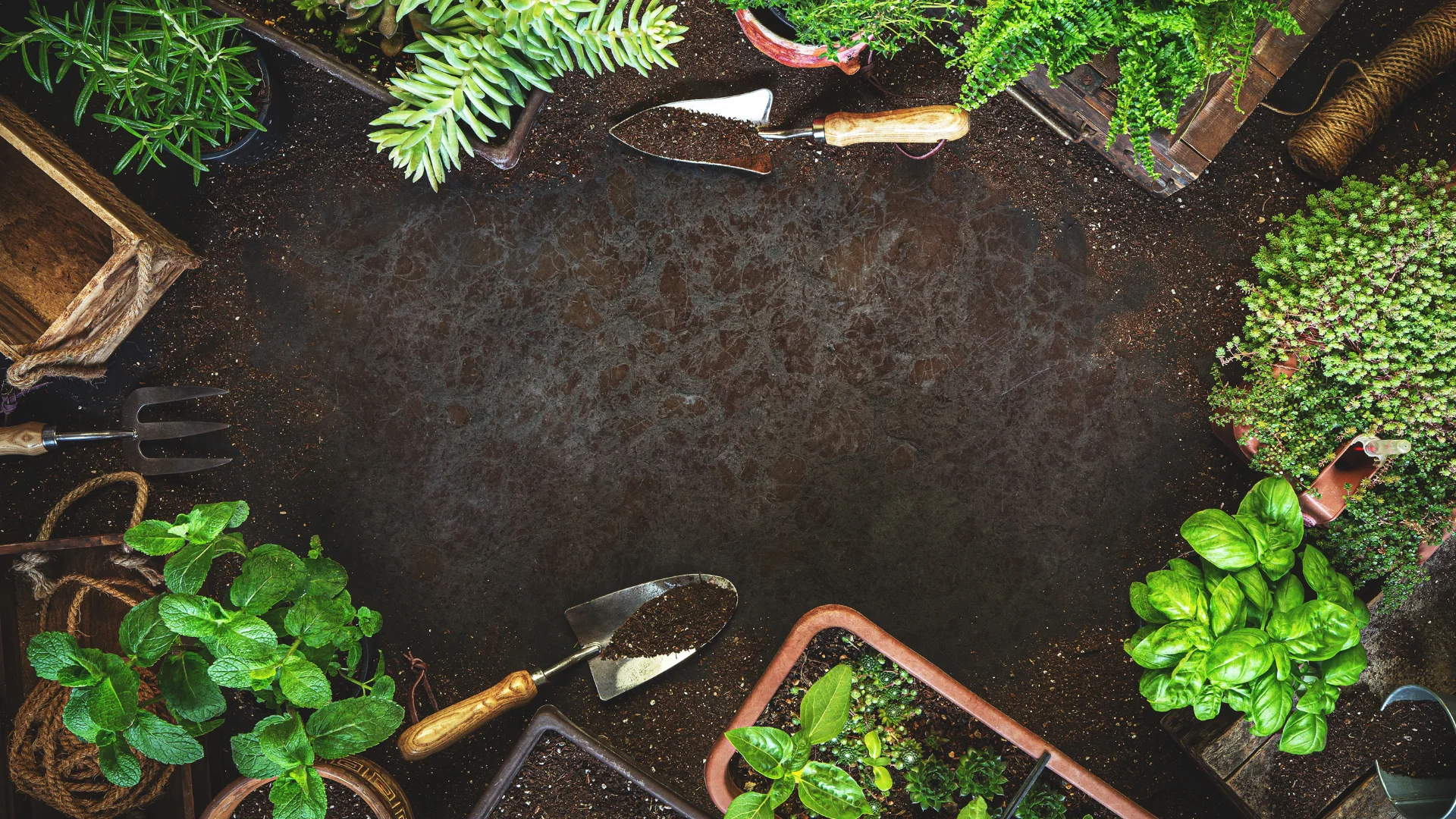 gardening trowel