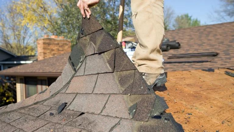 outdoor home improvement 3 - Home | Home Improvement Ideas